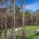 56 Turnberry Way, Brookwater, QLD 4300 AUS