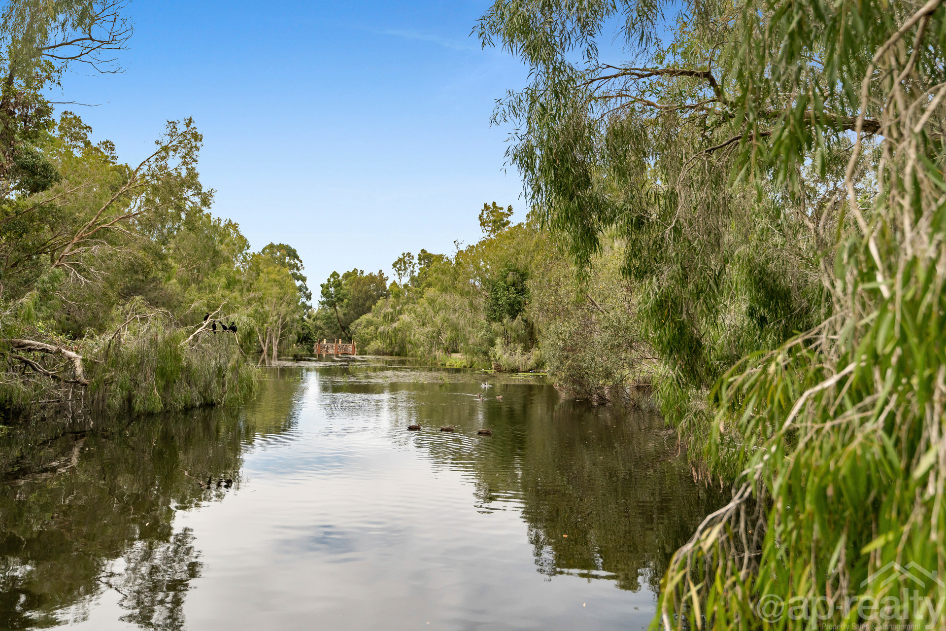 5 Mapleton Crescent, Forest Lake, QLD 4078 AUS